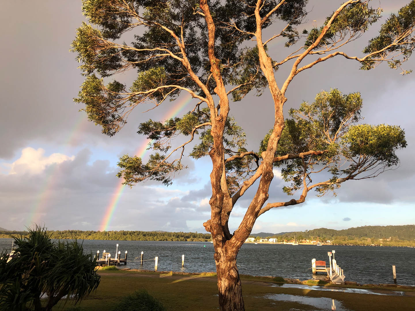 Double rainbow woy woy